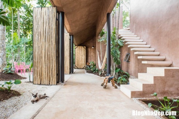 Ngôi nhà vườn ở Mexico với thiết kế nhiệt đới theo địa phương