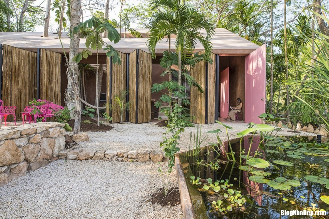 Ngôi nhà vườn ở Mexico với thiết kế nhiệt đới theo địa phương