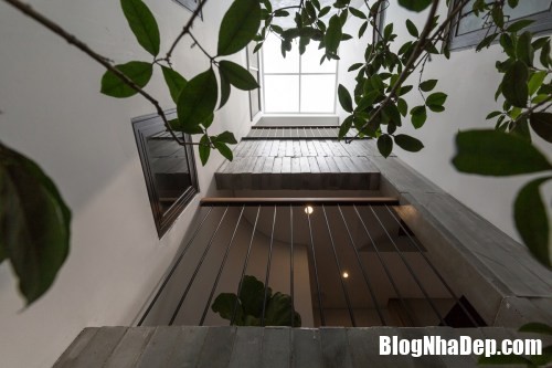 Thiết kế “Nhà liền kề” tối đa hóa tầm nhìn và không gian ánh sáng cho chủ nhà