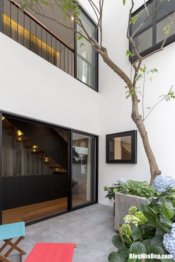 Thiết kế “Nhà liền kề” tối đa hóa tầm nhìn và không gian ánh sáng cho chủ nhà